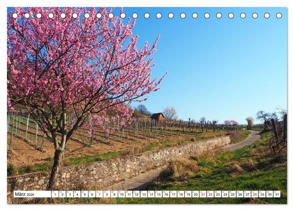 Produktbild: Liebliche Bergstra&szlig;e - Burgen, Wein und Fachwerk (Tischkalender 2026 DIN A5 quer), CALVENDO Monatskalender