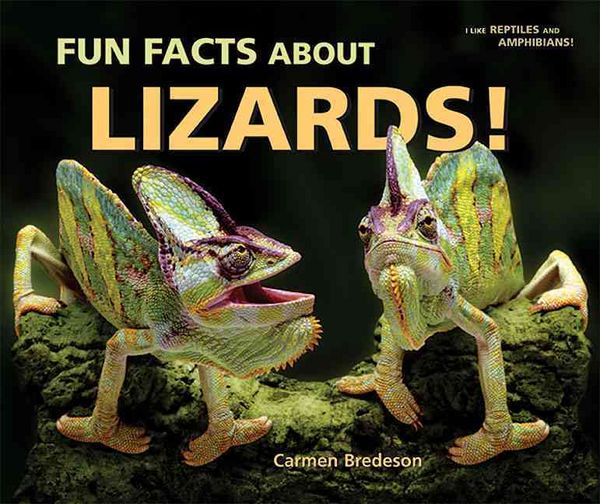 Produktbild: Fun Facts about Lizards!