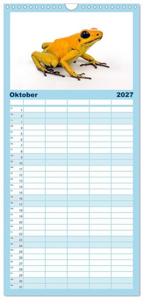 Produktbild: Familienplaner 2027 - Farbenpracht der Fr&ouml;sche mit 5 Spalten (Wandkalender, 21 x 45 cm) CALVENDO