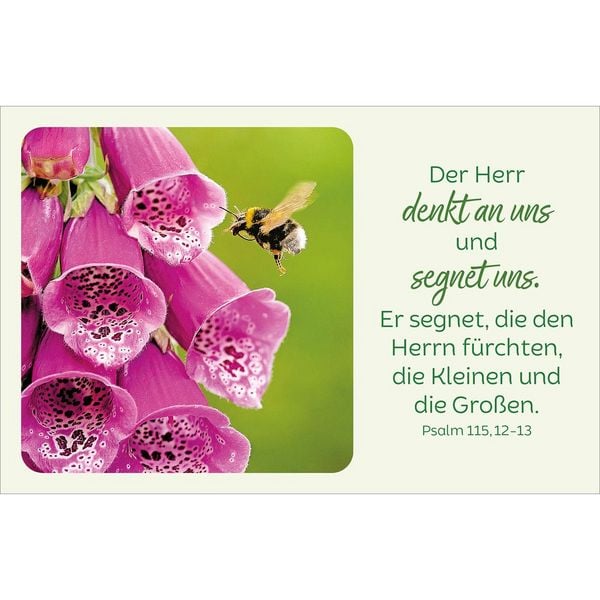 Produktbild: Bl&uuml;tenreiche Bibelverse