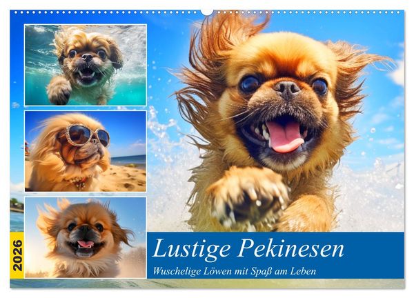 Produktbild: Lustige Pekinesen. Wuschelige L&ouml;wen mit Spa&szlig; am Leben (Wandkalender 2026 DIN A2 quer), CALVENDO Monatskalender