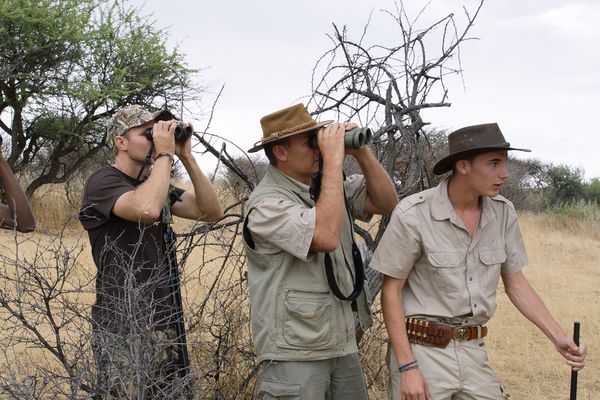 Produktbild: Safari