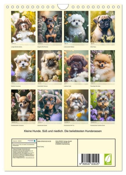 Produktbild: Kleine Hunde. S&uuml;&szlig; und niedlich. Die beliebtesten Hunderassen (Wandkalender 2026 DIN A4 hoch), CALVENDO Monatskalender