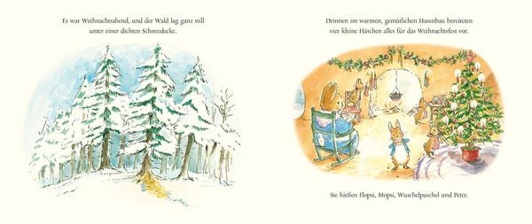 Produktbild: Peter Hase Der Weihnachtswunsch