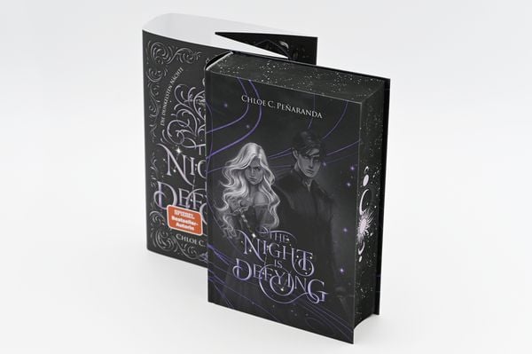 Produktbild: The Night is Defying