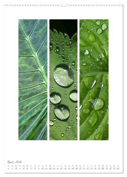 Produktbild: Natur Farben Dreiklang (hochwertiger Premium Wandkalender 2026 DIN A2 hoch), Kunstdruck in Hochglanz