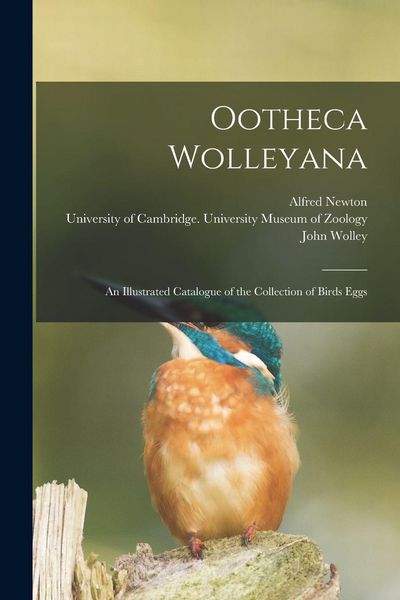 Produktbild: Ootheca Wolleyana