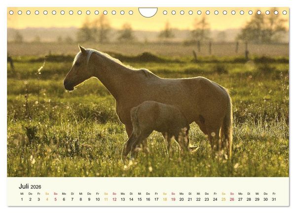 Produktbild: Bremen-Blockland (Wandkalender 2026 DIN A4 quer), CALVENDO Monatskalender