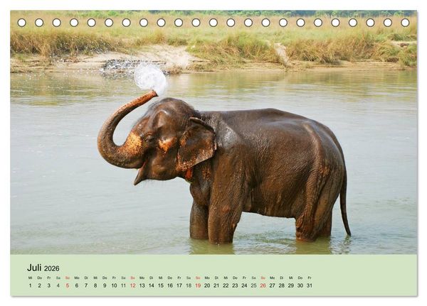 Produktbild: Elefanten. Badespa&szlig; am Strand (Tischkalender 2026 DIN A5 quer), CALVENDO Monatskalender