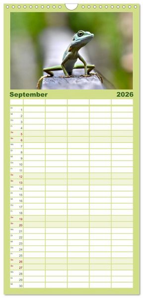 Produktbild: Familienplaner 2026 - Reptilien - Tierische Farbenpracht mit 5 Spalten (Wandkalender, 21 x 45 cm) CALVENDO