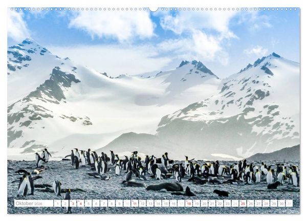 Produktbild: Antarktis - Das Reich der Pinguine (hochwertiger Premium Wandkalender 2026 DIN A2 quer), Kunstdruck in Hochglanz