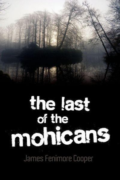 Produktbild: The Last of the Mohicans