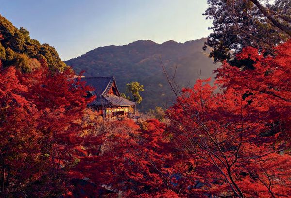 Produktbild: Japan