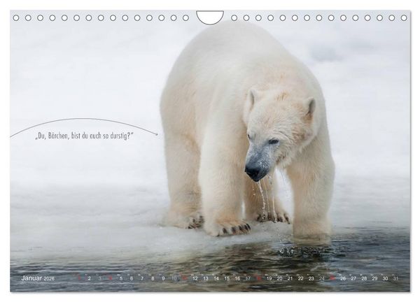 Produktbild: Emotionale Momente: Eisb&auml;ren - ganz menschlich gesehen. (Wandkalender 2026 DIN A4 quer), CALVENDO Monatskalender