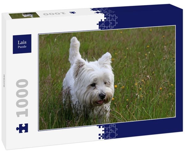 Produktbild: Lais Puzzle Westie 1000 Teile