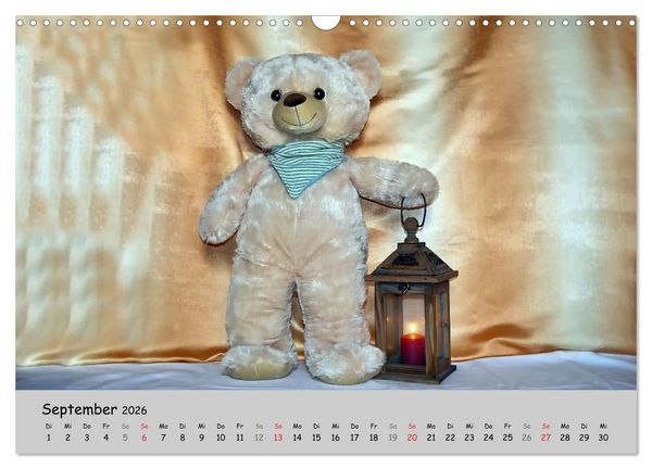 Produktbild: TEDDYB&Auml;R, OH TEDDYB&Auml;R... (Wandkalender 2026 DIN A3 quer), CALVENDO Monatskalender