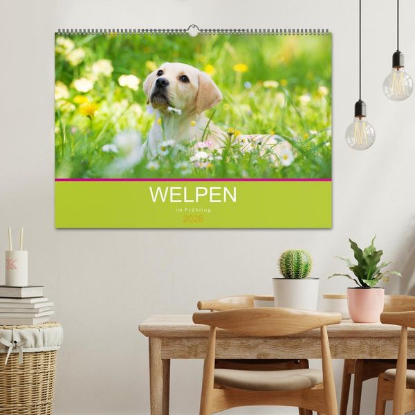 Produktbild: Welpen im Fr&uuml;hling (Wandkalender 2026 DIN A2 quer), CALVENDO Monatskalender