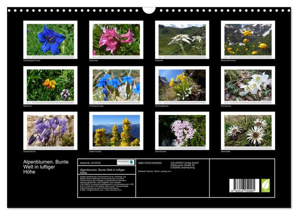 Produktbild: Alpenblumen. Bunte Welt in luftiger H&ouml;he (Wandkalender 2026 DIN A3 quer), CALVENDO Monatskalender