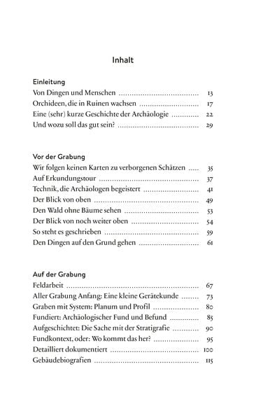 Produktbild: Staub, Steine, Scherben
