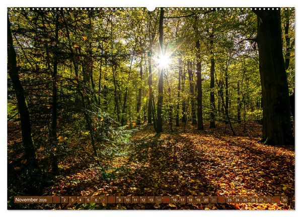 Produktbild: Moin Moormerland (hochwertiger Premium Wandkalender 2026 DIN A2 quer), Kunstdruck in Hochglanz