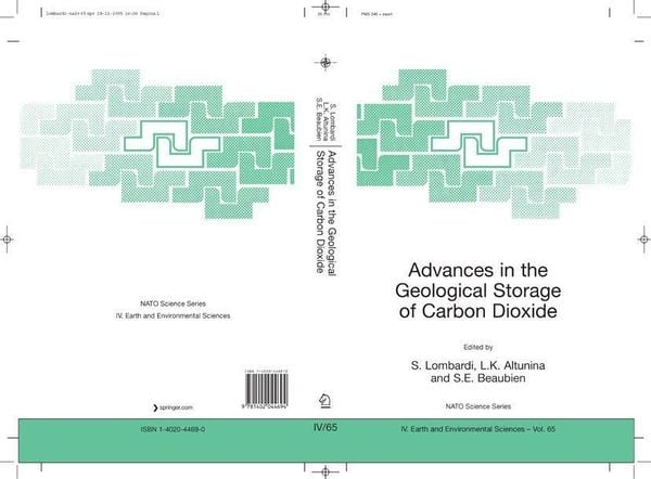 Produktbild: Advances in the Geological Storage of Carbon Dioxide