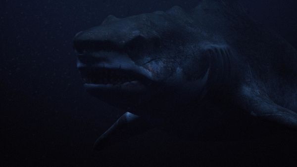 Produktbild: Megalodon 1+2 Uncut Special Edition [2 DVDs]
