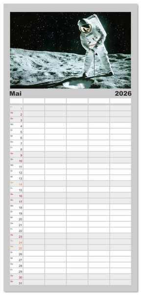 Produktbild: Familienplaner 2026 - Zwischen Sternenstaub und Stille mit 5 Spalten (Wandkalender, 21 x 45 cm) CALVENDO