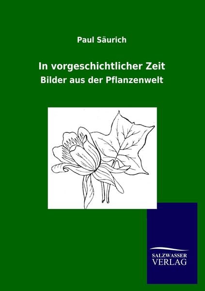 Produktbild: In vorgeschichtlicher Zeit