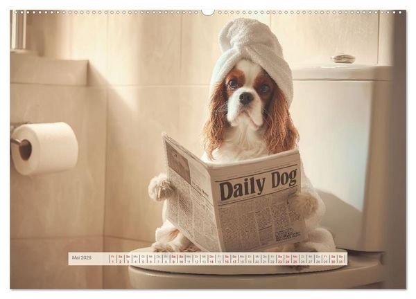Produktbild: Cavalier King Charles Spaniel. Die lustigsten Cavalier Momente des Jahres. (hochwertiger Premium Wandkalender 2026 DIN A2 quer), Kunstdruck in Hochglanz