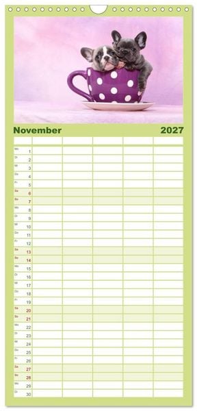 Produktbild: Familienplaner 2027 - Der Bully - Kalender Familienplaner hoch mit 5 Spalten (Wandkalender, 21 x 45 cm) CALVENDO