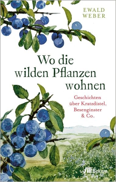 Wo die wilden Pflanzen wohnen, Gebundene Ausgabe von Ewald Weber, Oekom verlag, 9783962383435
