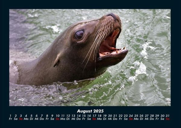 Produktbild: Der Tierkalender 2025 Fotokalender DIN A4
