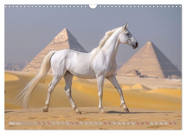 Produktbild: White Horses in Splendor (Wall Calendar 2026 DIN A3 landscape), CALVENDO 12 Month Wall Calendar