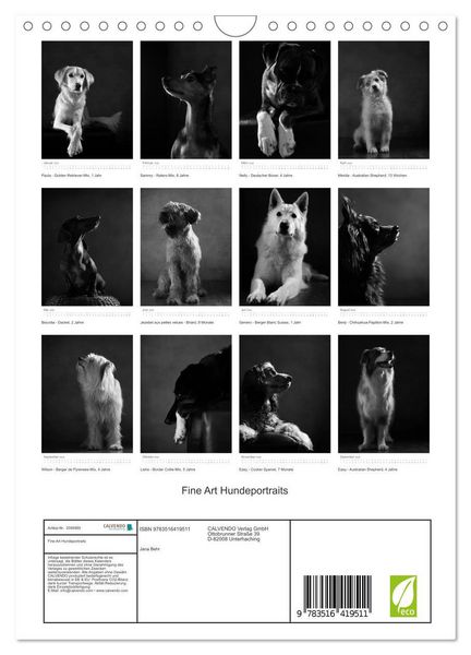 Produktbild: Fine Art Hundeportraits (Wandkalender 2026 DIN A4 hoch), CALVENDO Monatskalender