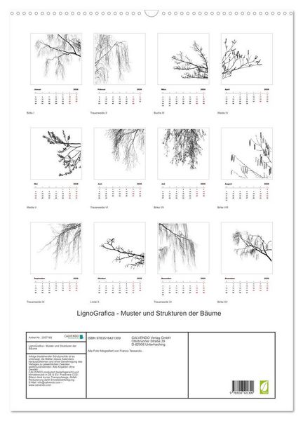 Produktbild: LignoGrafica - Muster und Strukturen der B&auml;ume (Wandkalender 2026 DIN A2 hoch), CALVENDO Monatskalender