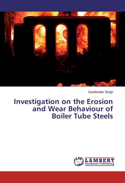 Produktbild: Investigation on the Erosion and Wear Behaviour of Boiler Tube Steels