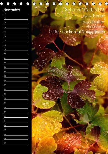 Produktbild: Naturbilder mit Sternzeichen / Geburtstagskalender (Tischkalender immerw&auml;hrend DIN A5 hoch)