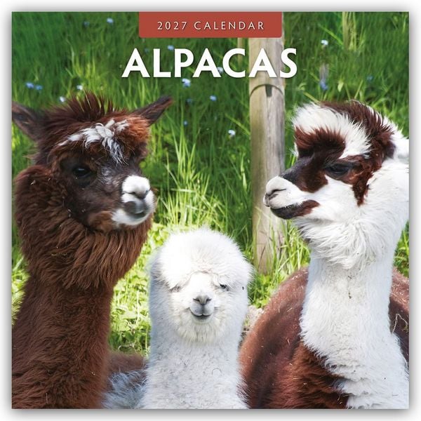 Produktbild: Alpacas &ndash; Alpakas 2027 &ndash; 16-Monatskalender