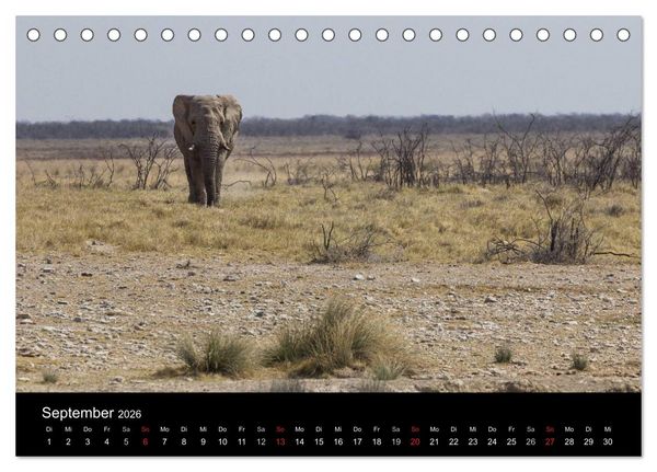 Produktbild: Wundersch&ouml;nes Namibia (Tischkalender 2026 DIN A5 quer), CALVENDO Monatskalender