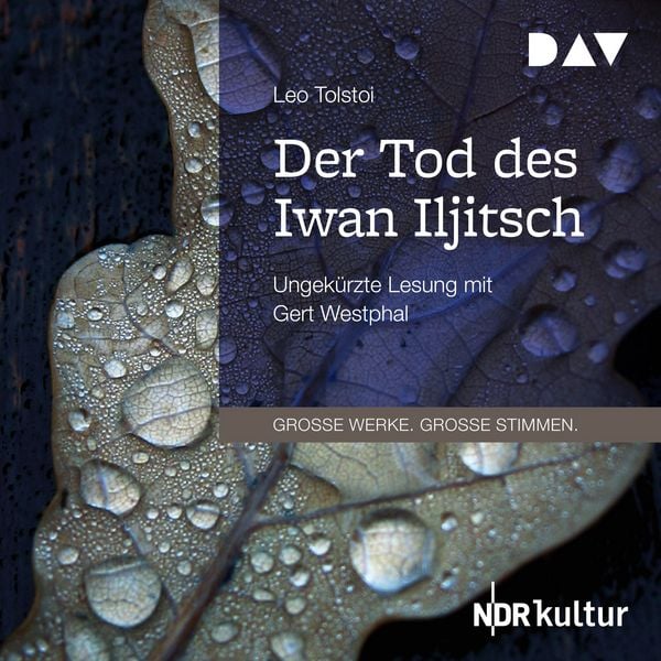 Produktbild: Der Tod des Iwan Iljitsch