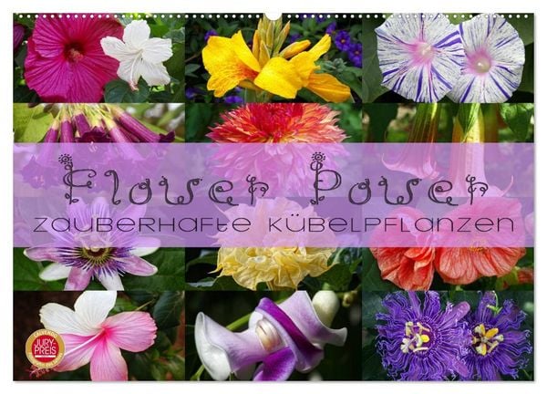 Produktbild: Flower Power - Zauberhafte K&uuml;belpflanzen (Wandkalender 2026 DIN A2 quer), CALVENDO Monatskalender