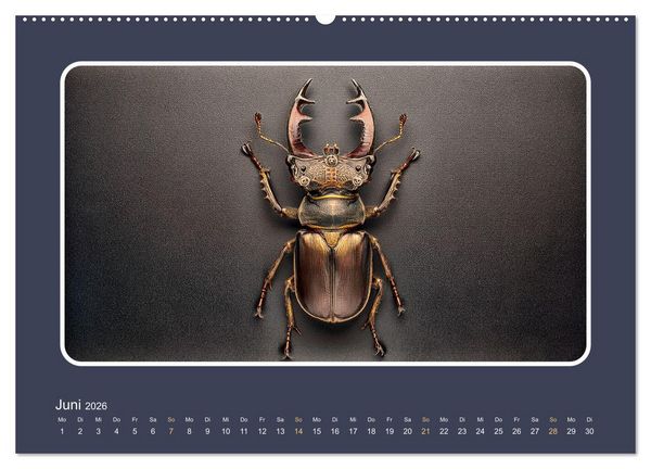Produktbild: Roboterinsekten (hochwertiger Premium Wandkalender 2026 DIN A2 quer), Kunstdruck in Hochglanz