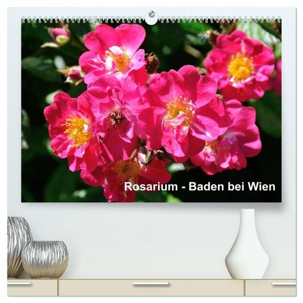 Produktbild: Baden bei Wien - Rosarium (hochwertiger Premium Wandkalender 2026 DIN A2 quer), Kunstdruck in Hochglanz