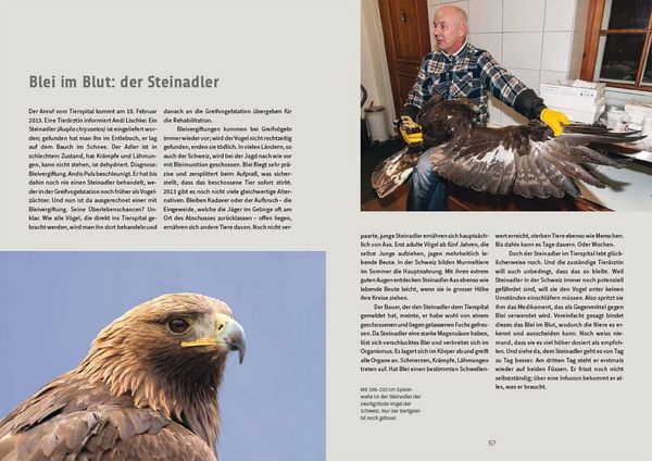 Produktbild: Nachmittags regnet es Bussarde