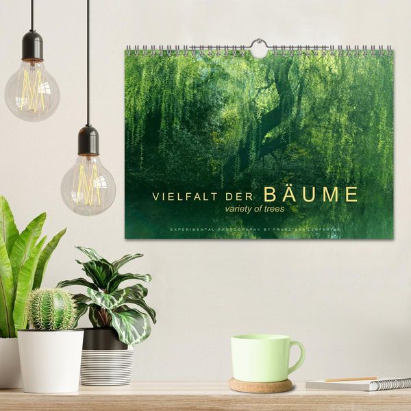 Produktbild: Vielfalt der B&auml;ume - variety of trees (Wandkalender 2026 DIN A4 quer), CALVENDO Monatskalender