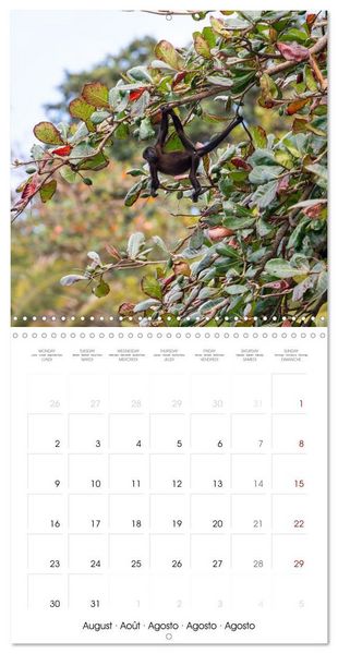 Produktbild: Costa Rica wild and peaceful (Wall Calendar 2027 12 &times; 12 Inch) CALVENDO 12 Month Wall Calendar