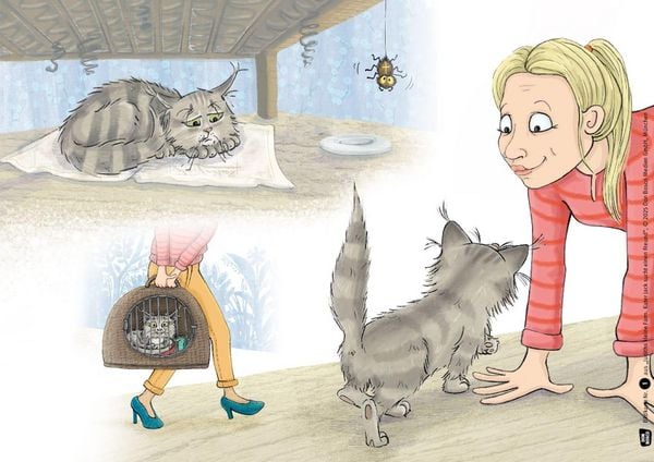 Produktbild: Judiths kleine Farm. Kater Jack sucht einen Freund. Kamishibai Bildkartenset