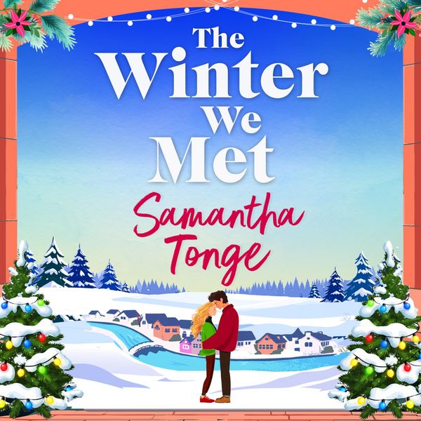 Produktbild: The Winter We Met