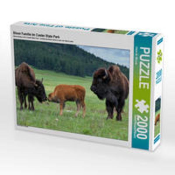 CALVENDO Puzzle Bison Familie im Custer State Park | 2000 Teile Lege-Größe 90 × 67 cm Foto-Puzzle für glückliche Stunden
