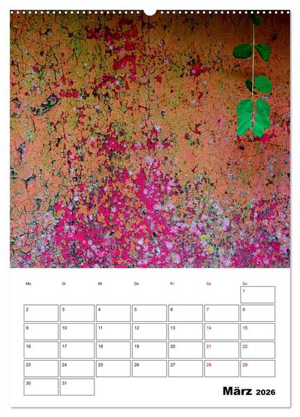 Produktbild: Mauerbl&uuml;mchen - Poesie im Allt&auml;glichen als Monatsplaner (Wandkalender 2026 DIN A2 hoch), CALVENDO Monatskalender